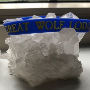 The Great Wolf Lodge Bracelet